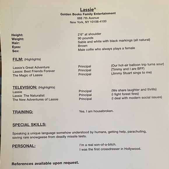 Promotional photo for Lassie - Picture 2 of 2